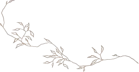 vine+nutmeg vine+nutmeg